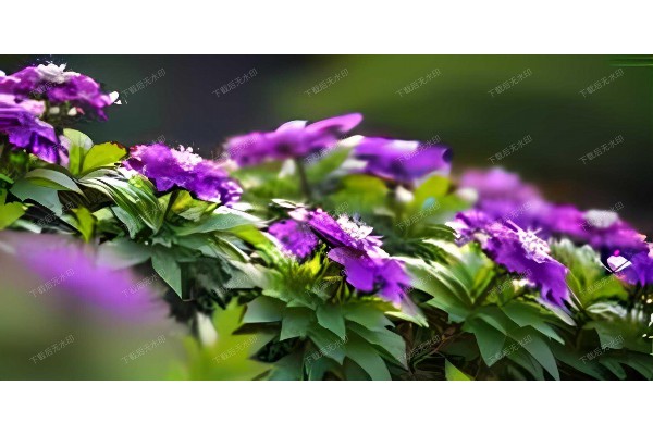 杭州东路舒适按摩，桑拿约茶尽清爽